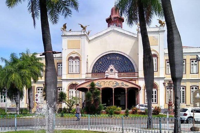 Recife & Olinda City Tour - Starting along Boa Viagem’s shore