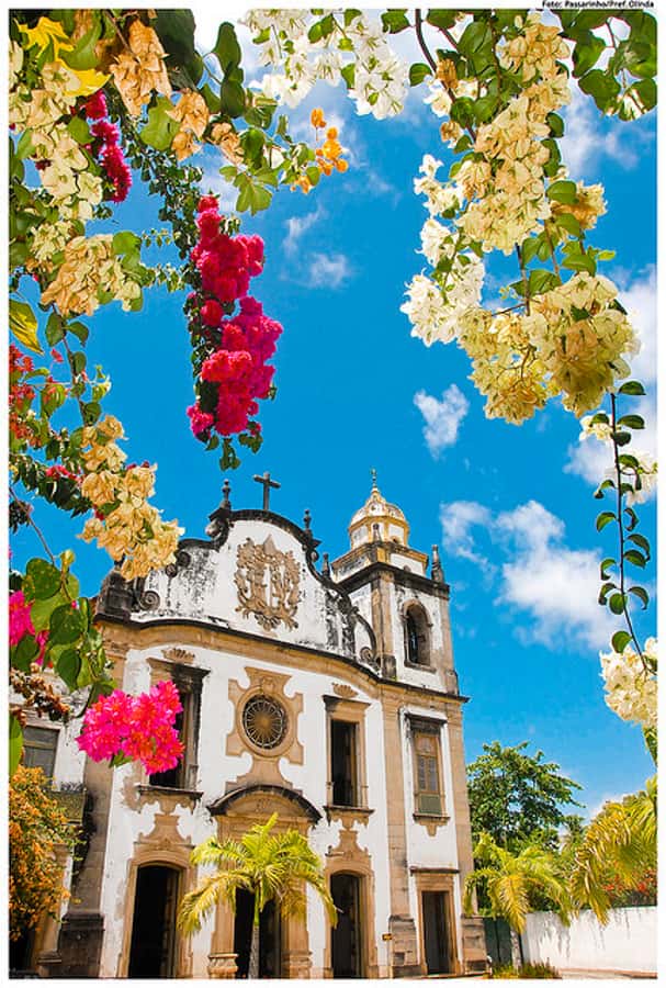 Recife & Olinda City Tour: Unveiling the Charm of Two Cities - Recife begins with bridges, beaches, and three city sectors