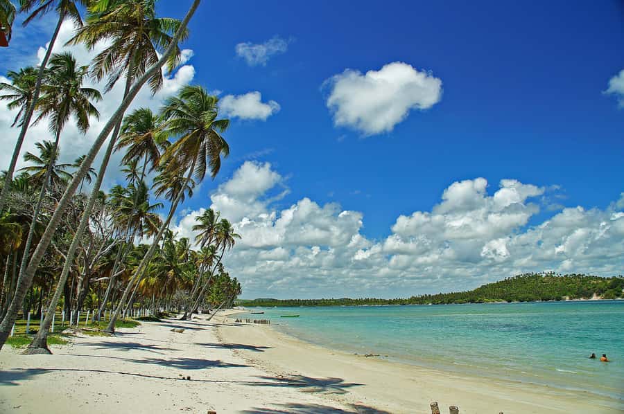 Recife: Tour to Carneiros with Catamaran Ride - Clear water and a busy beach setting
