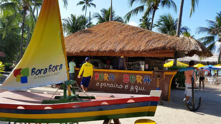 Recife: Tour to Carneiros with Catamaran Ride - Practical planning before you go
