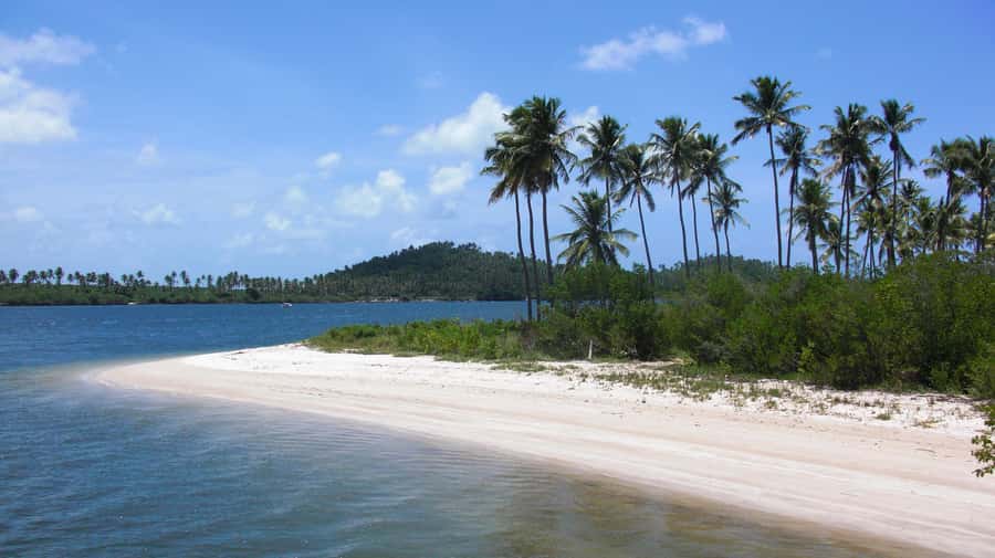 Recife: Tour to Carneiros with Catamaran Ride - The catamaran route along the coast
