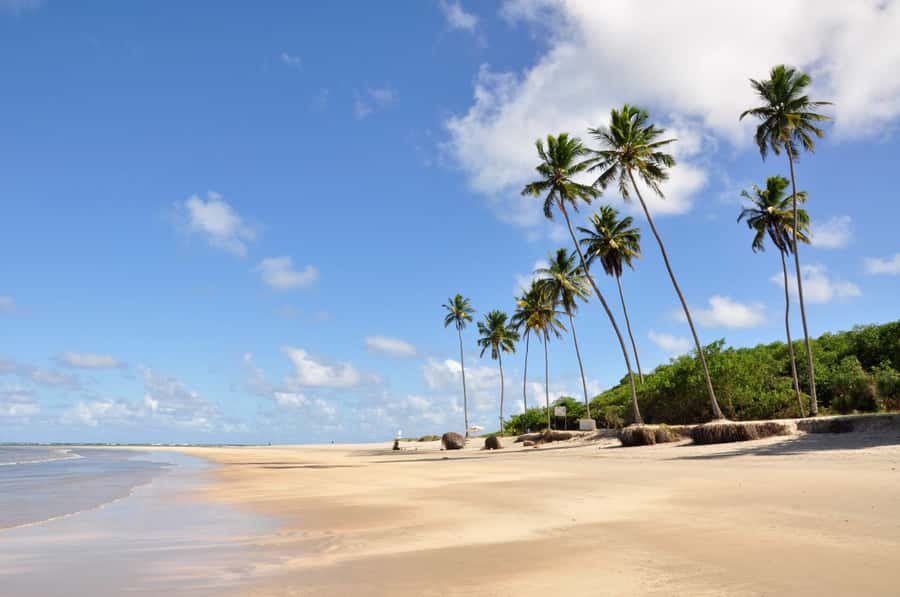 Recife: Tour to Porto de Galinhas - Key points to know before you book