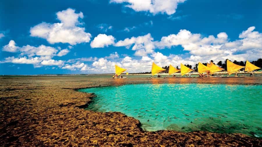 Recife: Tour to Porto de Galinhas - Why Porto de Galinhas makes a good Recife day trip