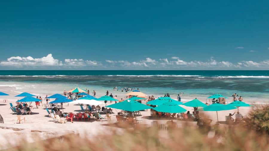 Recife: Tour to Porto de Galinhas - The language question deserves attention