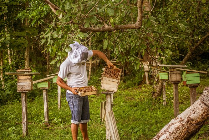 Regional Cruise in the Amazon - Regional Meals, Juices, and the Value of Full Board