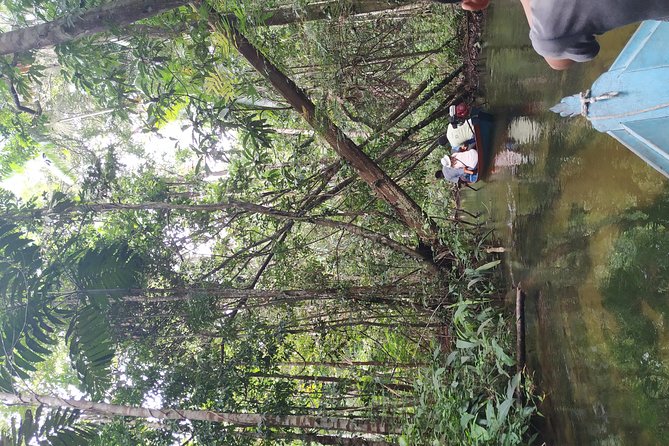 Regional Cruise in the Amazon - Who Should Book This Cruise?