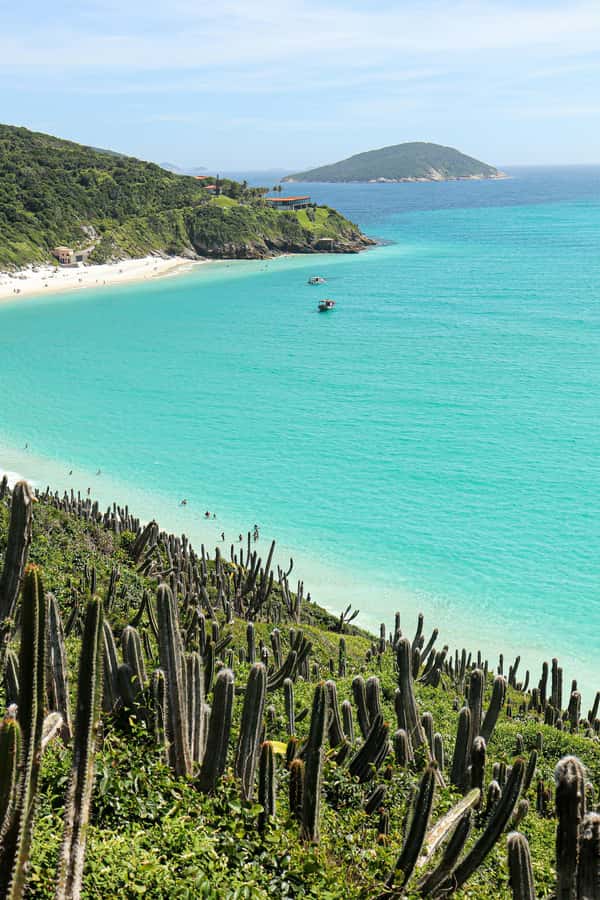 Rio: Best Dive Experience All Inclusive Scuba Diving Package - Snacks, lunch, and the return trip