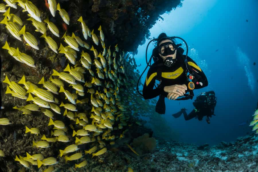 Rio: Best Dive Experience All Inclusive Scuba Diving Package - The 2.5-hour morning ride from Rio
