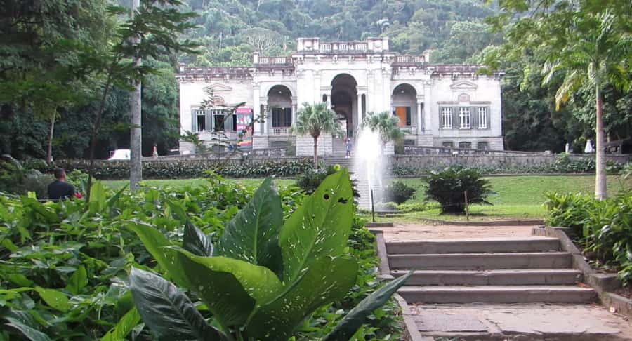 Rio: Botanical Garden, Tijuca Forest, and Parque Lage Tour - Walking through Rio’s Botanical Garden