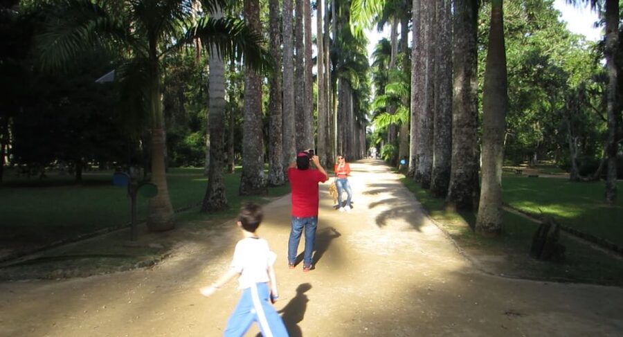 Rio: Botanical Garden, Tijuca Forest, and Parque Lage Tour - What the private format adds