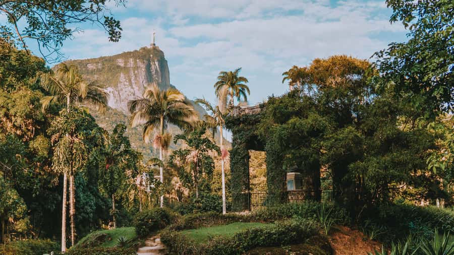 Rio de Janeiro: 4-Hour Botanical Garden & Tijuca Forest Tour - Why this tour works for Rio