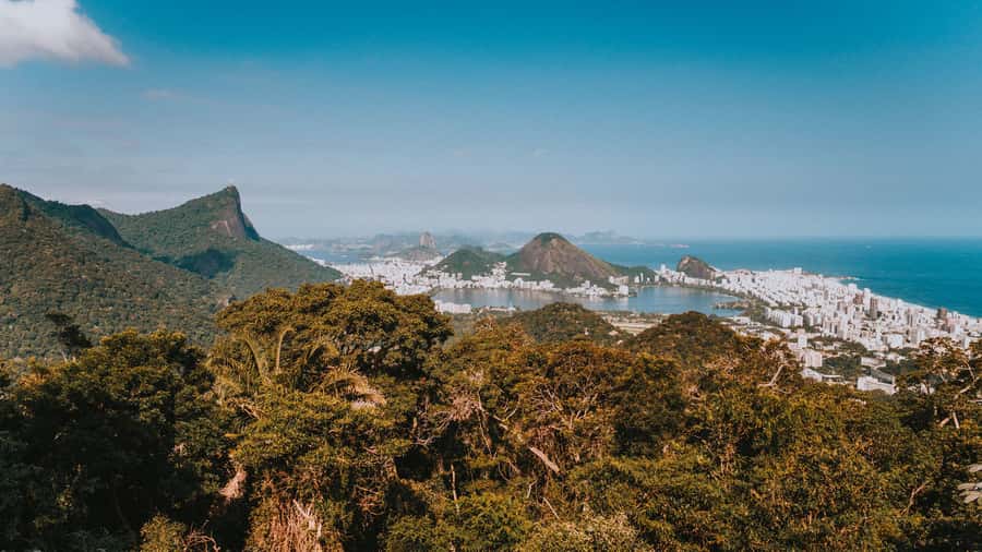 Rio de Janeiro: 4-Hour Botanical Garden & Tijuca Forest Tour - A simple trail through Tijuca National Forest