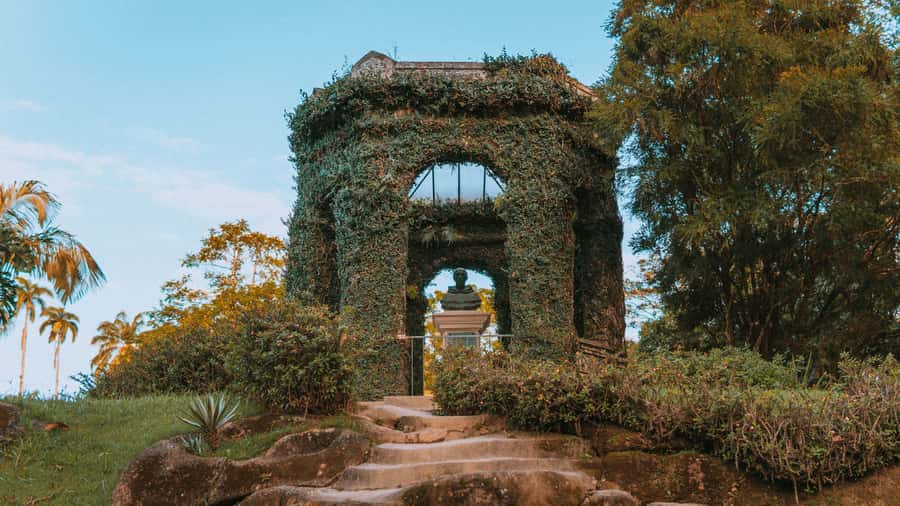 Rio de Janeiro: 4-Hour Botanical Garden & Tijuca Forest Tour - Walking beneath the imperial palms