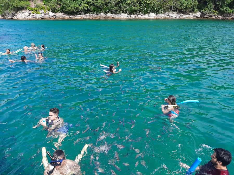 Rio de Janeiro: Angra dos Reis and Ilha Grande Full-Day Tour - What the $77 price includes