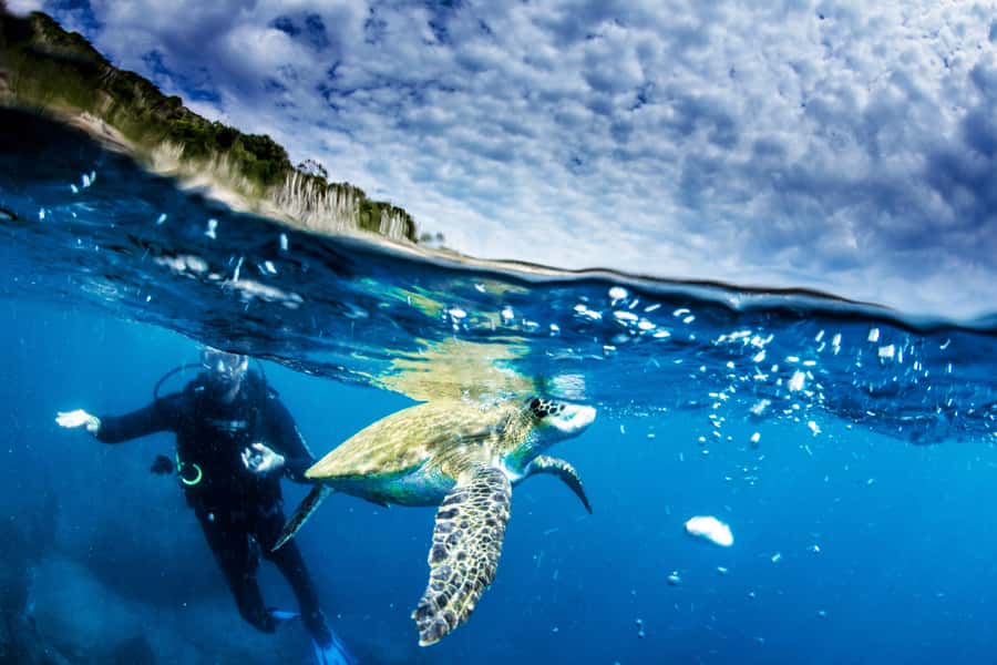Rio de Janeiro: Arraial do Cabo Scuba Diving Day Trip - Should You Book This Arraial do Cabo Trip?