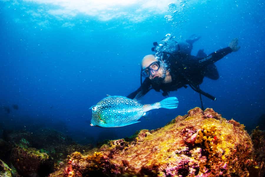 Rio de Janeiro: Arraial do Cabo Scuba Diving Day Trip - Why Arraial do Cabo Appeals to Scuba Fans