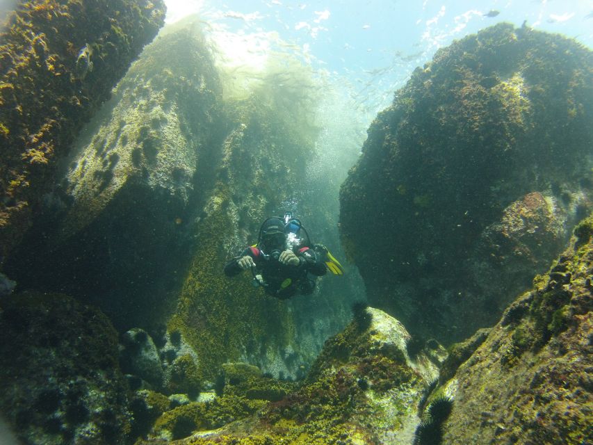 Rio de Janeiro: Arraial do Cabo Scuba Diving Day Trip - What the $255 Price Really Buys