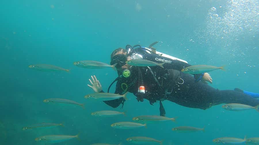 Rio de Janeiro: Arraial do Cabo Scuba Diving Day Trip - Who Will Enjoy This Most
