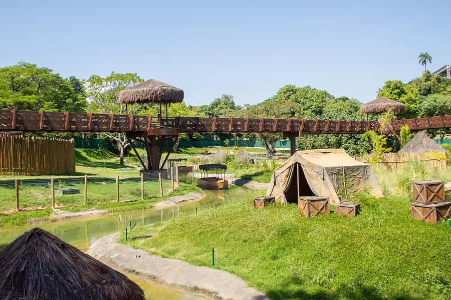 Rio de Janeiro: BioParque Guided Tour with Transfer - Why BioParque Feels Different From a Traditional Zoo