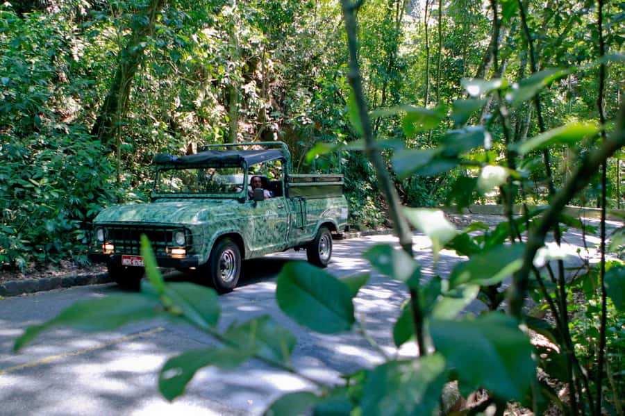 Rio de Janeiro: Botanical Garden & Tijuca Forest Guided Tour - Waterfalls and short forest walks