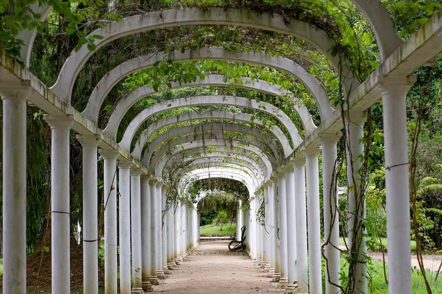 Rio de Janeiro: Botanical Garden & Tijuca Forest Guided Tour - Is $85 a fair price?