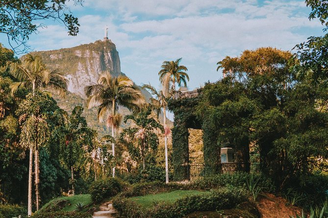 Rio de Janeiro Botanical Garden & Tijuca Forest Tour - One hour among palms and tropical plants