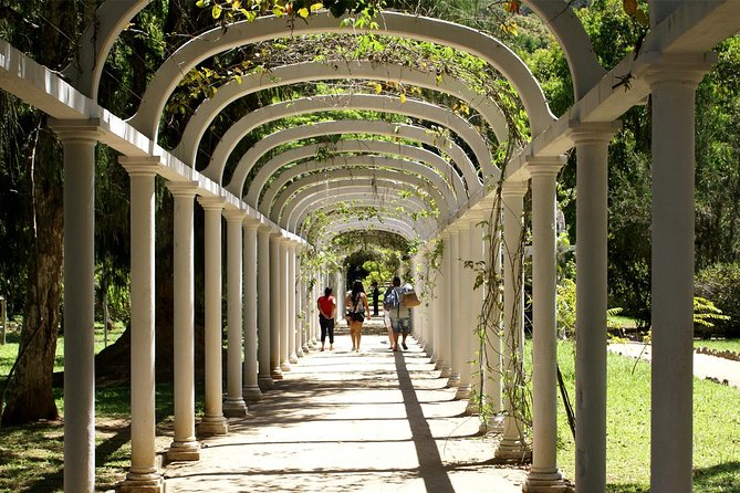 Rio de Janeiro Botanical Garden Tour - What happens during the 3.5-hour outing
