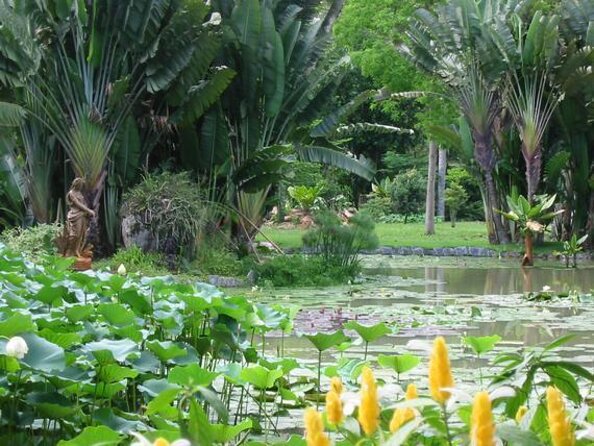 Rio de Janeiro Botanical Garden Tour - Walking beneath the Avenue of Royal Palms