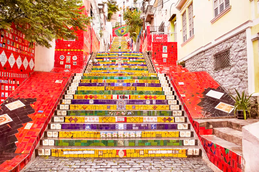 Rio de Janeiro: Christ, Selaron Steps, and Tijuca Park Tour - Key points before you book
