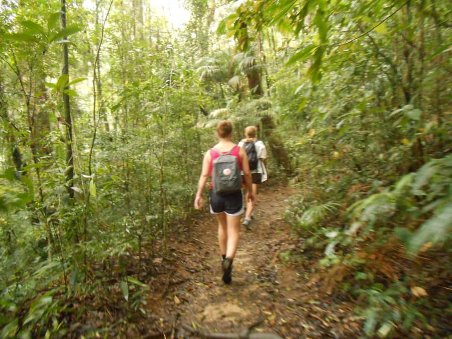 Rio de Janeiro: Christ the Redeemer Guided Hike - The descent takes less time, but not no effort