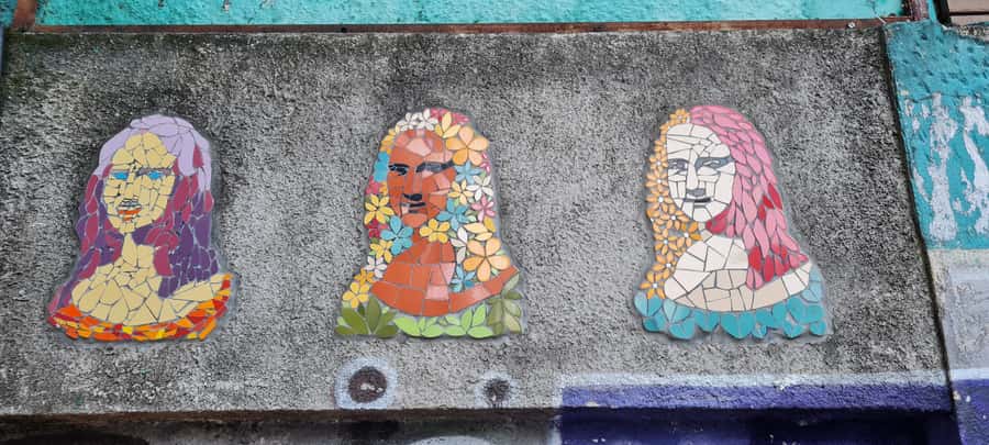 Rio de Janeiro: Favela Santa Marta Tour with Resident Guide - Walking through homes, alleys, and daily life