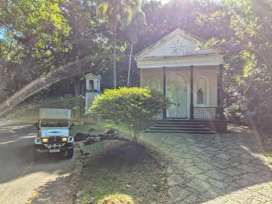 Rio de Janeiro: Guided Jeep Tour through Tijuca Rainforest - Why Tijuca Rainforest belongs on your Rio schedule