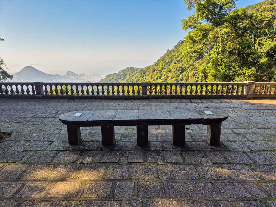 Rio de Janeiro: Guided Jeep Tour through Tijuca Rainforest - Guides are the heart of the experience