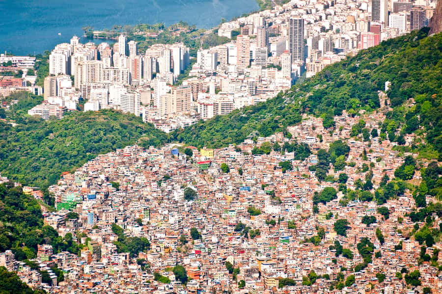 Rio De Janeiro: Half-Day Rocinha Favela Walking Tour - Entering Rocinha with a local guide