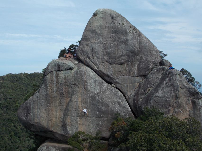 Rio de Janeiro: Hiking and Rappelling at Tijuca Forest - Is the $59 Price Good Value?