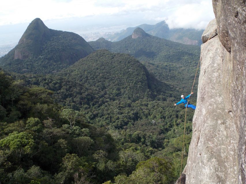Rio de Janeiro: Hiking and Rappelling at Tijuca Forest - Walking Through Tijuca National Park
