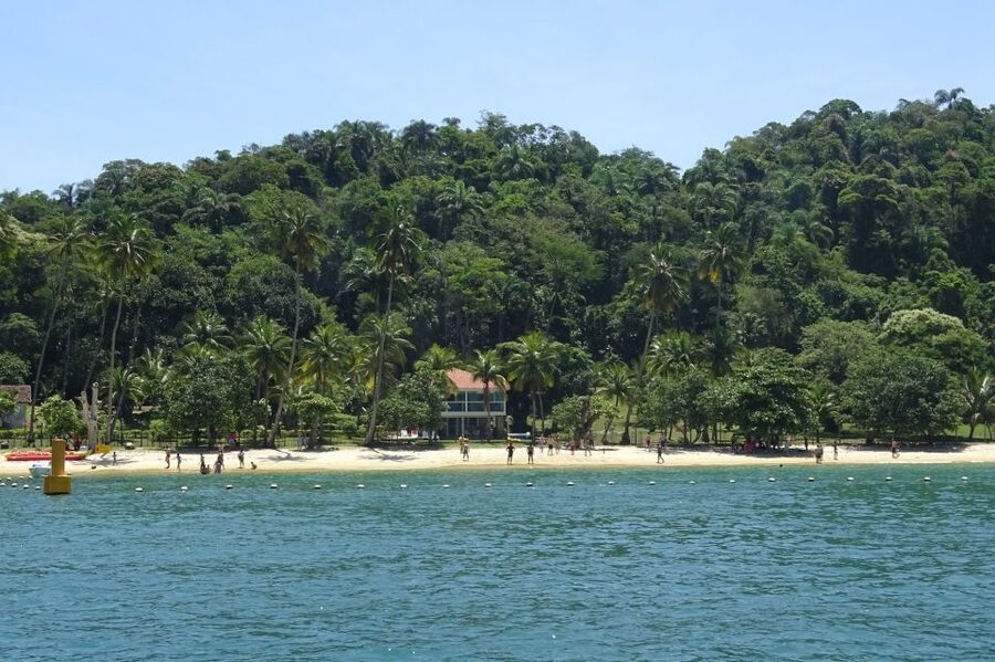 Rio de Janeiro: Ilha Grande with Boat Tour & Optional Lunch - Blue Lagoon’s fish, coral, and starfish