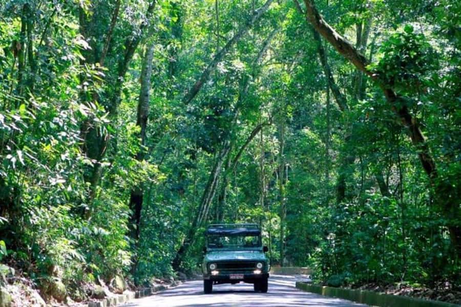 Rio de Janeiro: Jeep Tour Christ the Redeemer + Sugar Loaf - The open Jeep ride through Tijuca Forest