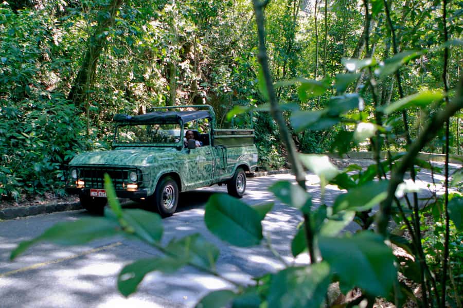 Rio de Janeiro: Jeep Tour in the Tijuca Forest - Hotel pickup from Copacabana and the South Zone
