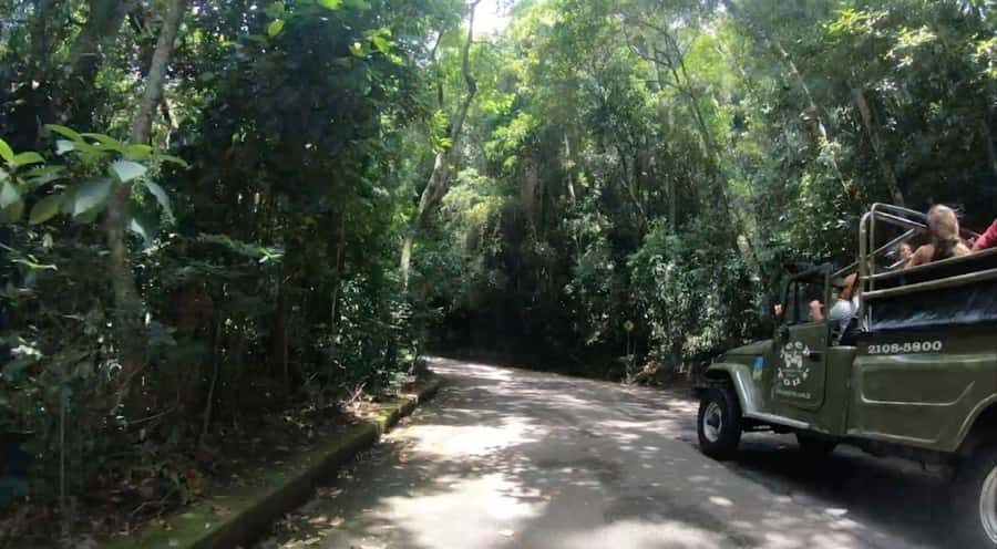 Rio de Janeiro: Jeep Tour in the Tijuca Forest - The natural pool: a quick cool-down, not a beach day