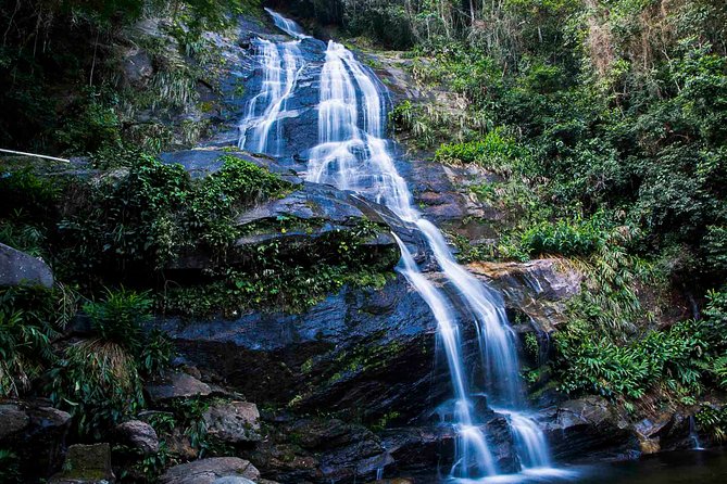 Rio de Janeiro Jeep Tour : Tijuca Forest - The open-air jeep sets the tone