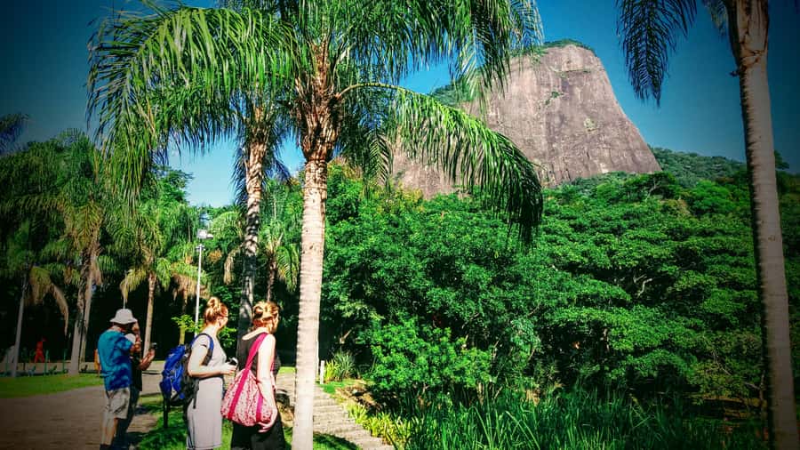 Rio de Janeiro Nature Secrets 'The Eco Citytour' - Key points to know before booking