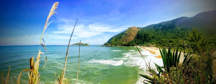 Rio de Janeiro Nature Secrets 'The Eco Citytour' - Dois Irmãos gives you an early view of the city