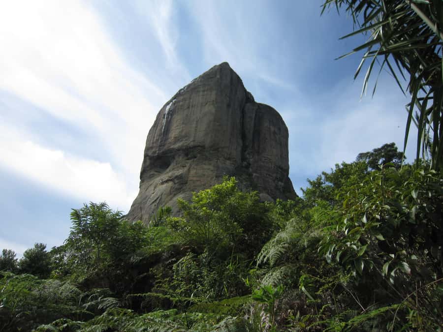 Rio de Janeiro: Pedra da Gavea Adventure Hike - What to bring for a safe, comfortable day