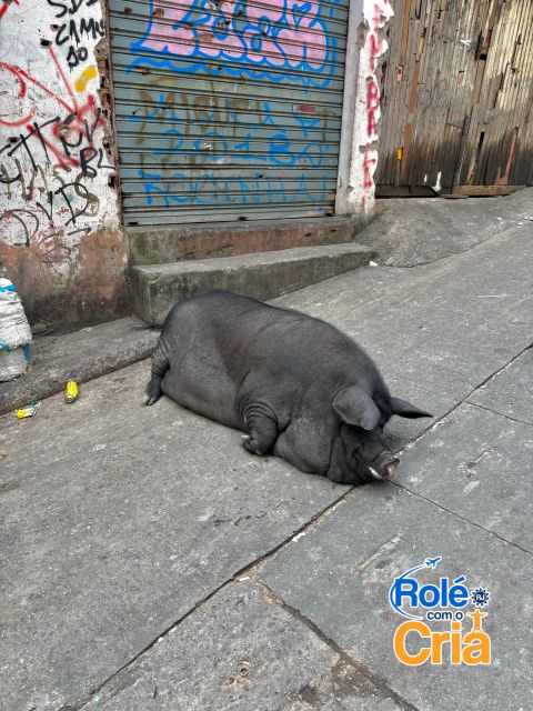 Rio de Janeiro: Rocinha Favela guided tour - Seeing Rocinha as a community, not a postcard