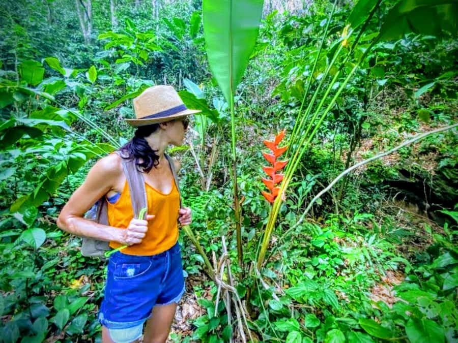 Rio de Janeiro Secluded Beaches: Hike+Swim Prainha & Grumari - Why West Rio feels far from Copacabana