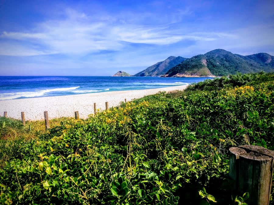 Rio de Janeiro Secluded Beaches: Hike+Swim Prainha & Grumari - What the $86 price covers