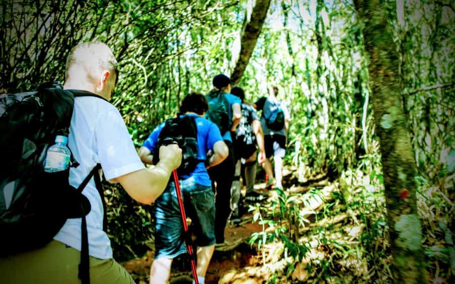Rio de Janeiro: Tijuca Forest Challenge Hike Full-Day Trip - Vista Chinesa depends on the day