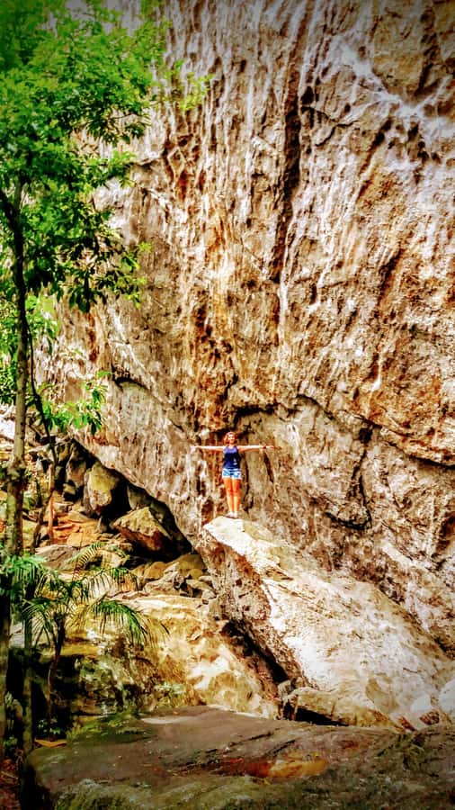 Rio de Janeiro: Tijuca Forest Challenge Hike Full-Day Trip - Coffee ruins lead into quieter forest