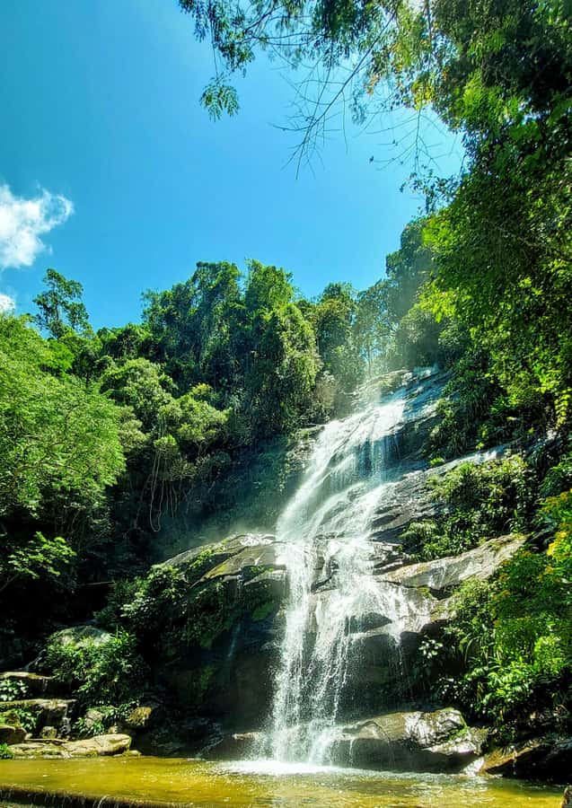 Rio de Janeiro: Tijuca Forest Challenge Hike Full-Day Trip - Cascata da Baronesa is the best finish